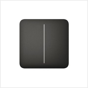 Ajax SoloButton (2-gang) 55, 45119.144.BL