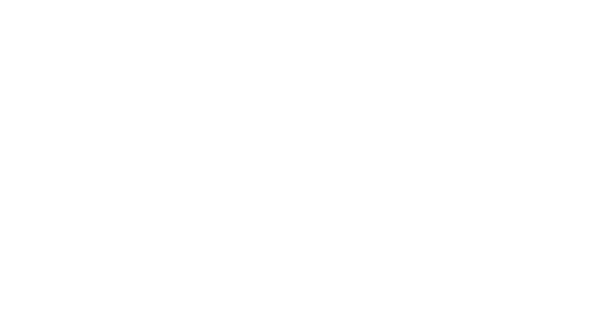 26-01-26_-_RapiDetect_Logo_Text